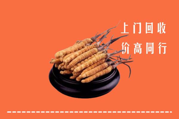 高价求购：吴川回收散虫草