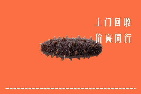 高价求购：吴川回收海参