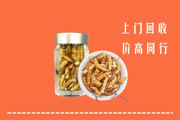 吴川回收冬虫夏草