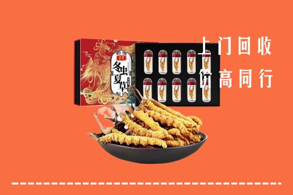 吴川回收虫草